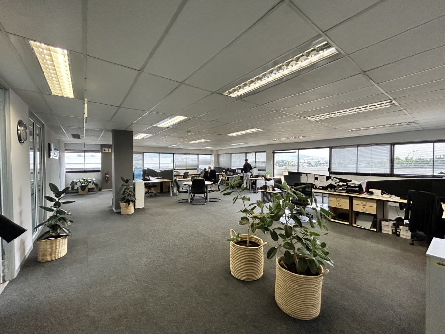 To Let commercial Property for Rent in Mowbray Western Cape